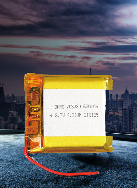 数码/动力型聚合物电池